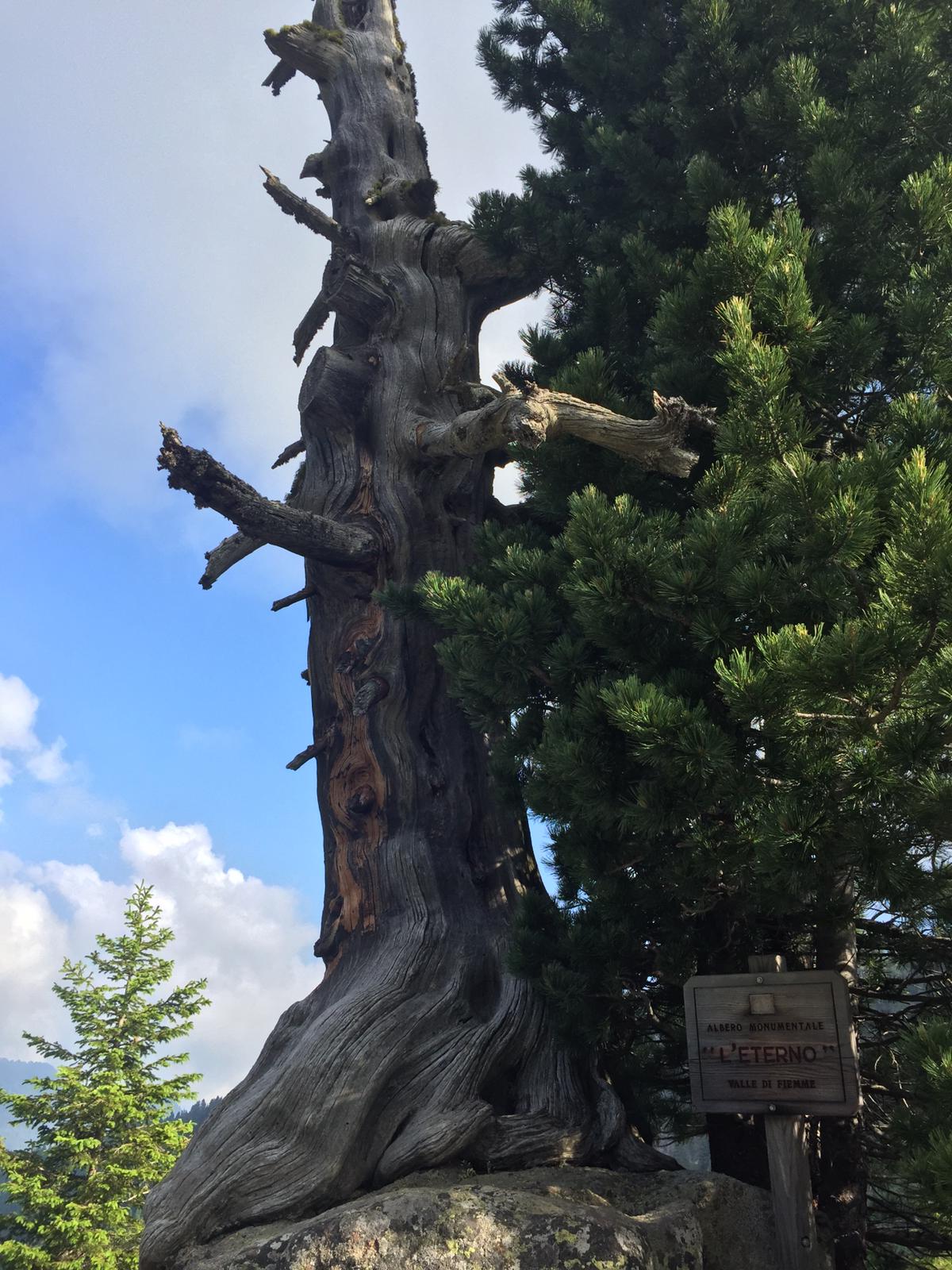 PassoManghen (5).jpeg